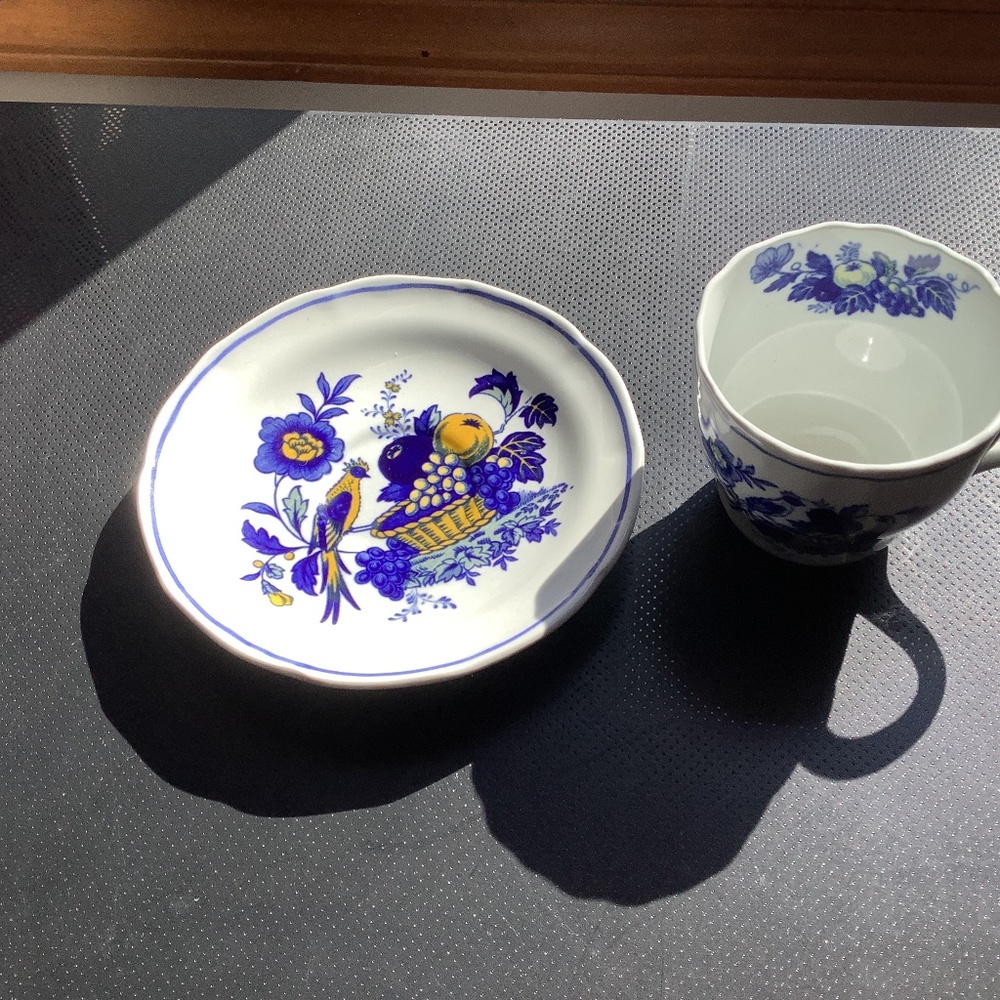 Copeland Spode cup and saucer